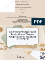 Diferentes Perspectivas de Realidade Nos Diversos Grupos Étnicos-Raciais Na UNESP FFC