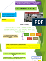 Cromatógrafo de Gases