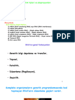 RNA Tipleri Ve Ekspresyonları