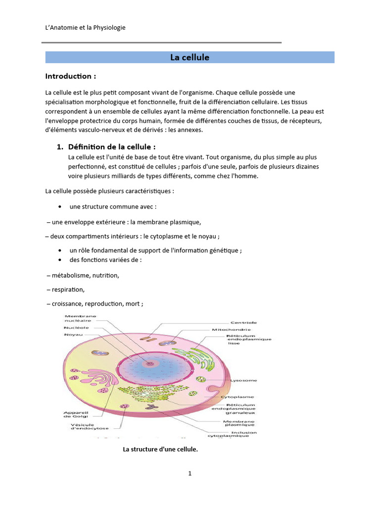 Anatomie et Physiologie de la Cellule | PDF | ADN | Cellule (Biologie)