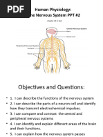 2 Human Body Nervous System - PPT Grade12 Ch29 Lesson 2