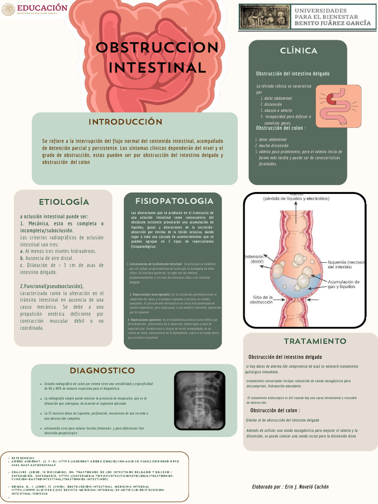 Oclusion Intestinal | PDF | Gastroenterología | Enfermedades digestivas