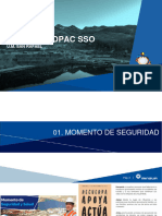 Lineamientos Copac Sso - Semana 47