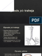 Elpvads Jeb Traheja