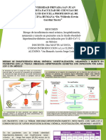 Resumen Articulo Segment Nefro