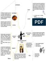 Mapa Mental Peritaje