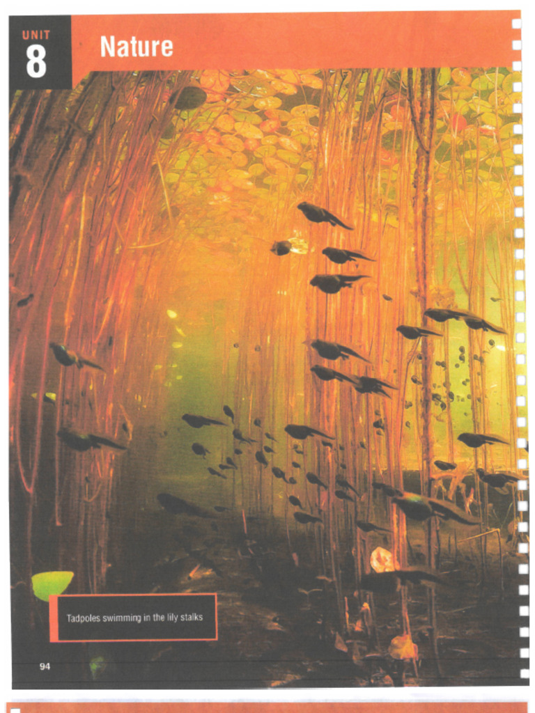World english 2 unit 8 104 115 pdf