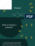 Atividade Do Pantanal