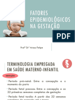 Aula 3. Fatores Epidemiológicos Da Gestação