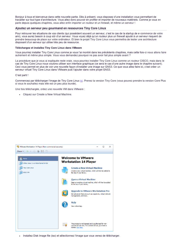 Installer Tiny Core Linux et pfSense | PDF | VMware | Linux