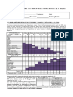 Protocolo DFH