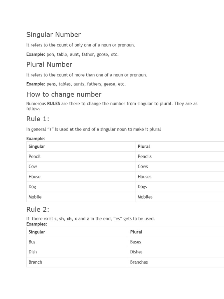 Singular and Plural Noun Rules | PDF | Plural | Grammatical Number