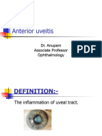 1167 Anterior Uveitis