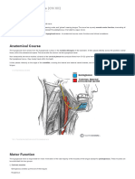 The Hypoglossal Nerve CN XII Course Motor TeachMeAnatomy