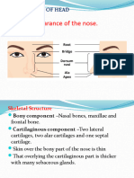 Organs of Head&neck