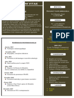 Sefou CV Pro PDF