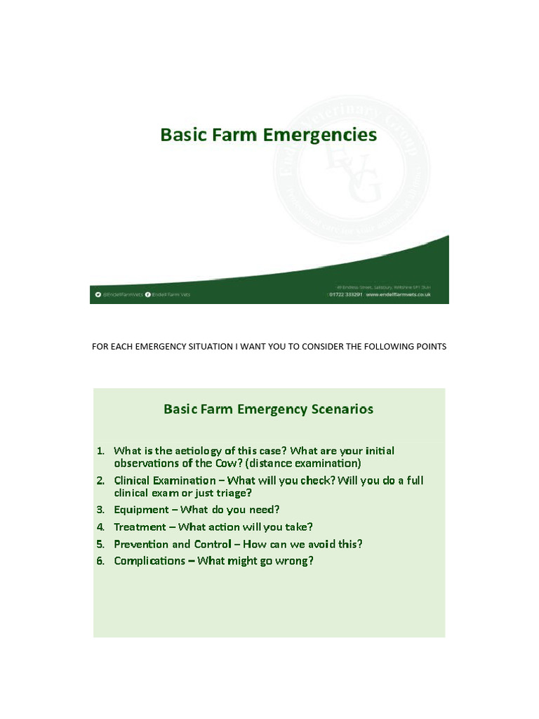Basic Emergencies in Cattle Questions Haemorrhage PDF
