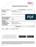 descargarConstanciaToken (15)