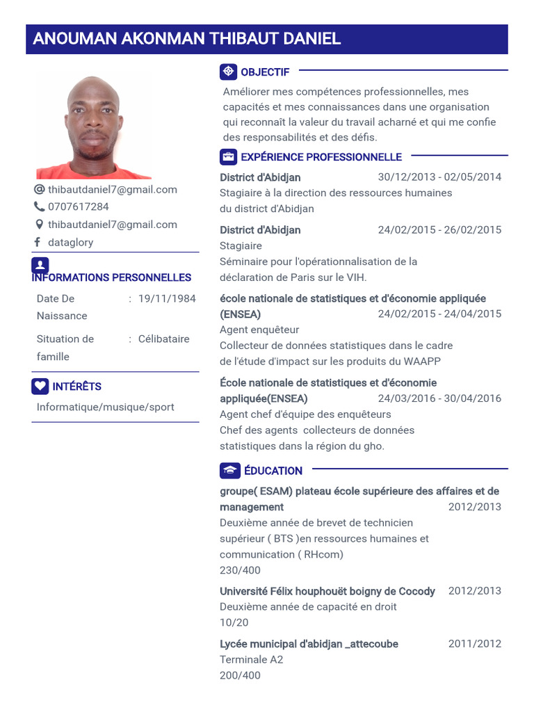 CV Thibaut | PDF | Évolution de carrière