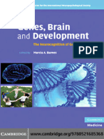 Genes, Brain, And Development