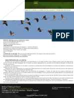 24 A 25 de Febrero Paso Migratorio de La Grullla Común en Gallocanta y Hoces Del Río Dulce