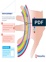 Fiche Conseil