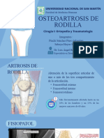 Osteoartrosis de Rodilla