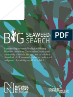 Big Seaweed Search Guide
