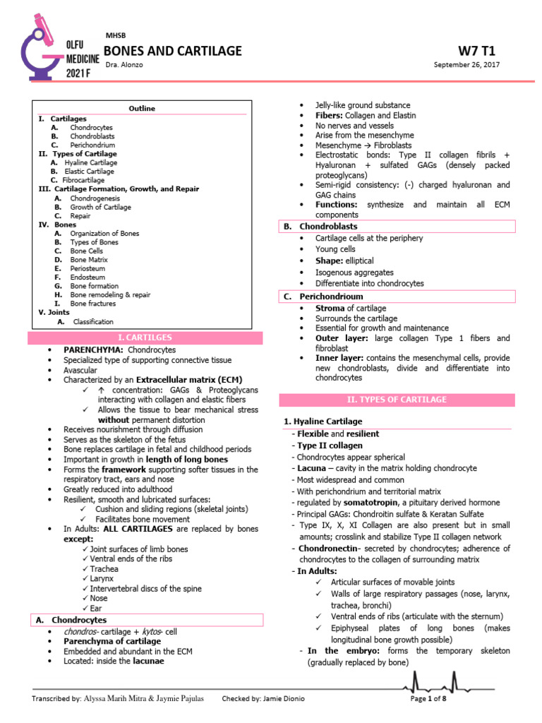 MHSB W7T1 Bones and Cartilage | PDF