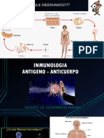1 Inmunologia - Antigeno Anticuerpo