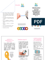 Triptico DM2