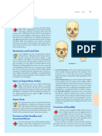 Anatomy Clinical 