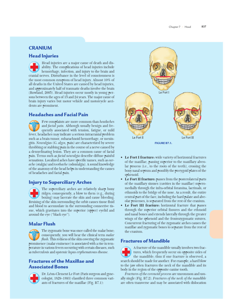 CLINICAL ANATOMY BY SYSTEMS PDF FREE DOWNLOAD visual data 6