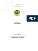 Makalah Sistem Respirasi: Fakultas Matematika Dan Ilmu Pengetahuan Alam