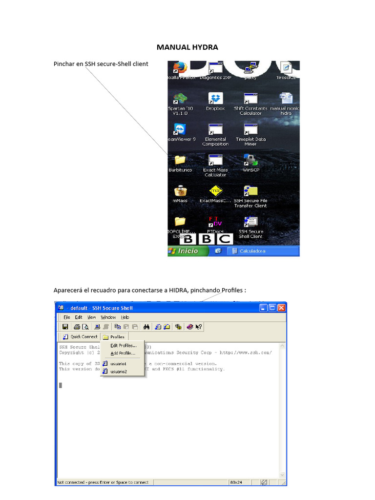 manual-hidra-pdf-software-inform-tica