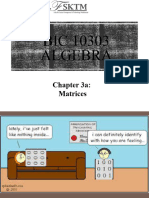 Chapter3a Matrices