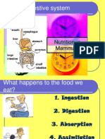 f4 Animal Nutrition 2 Digestive System