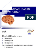 Kegawatdaruratan Sistem Saraf