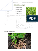 Curcuma Longa