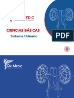 CCBB - Sistema Urinario - PI 2023