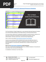 How To Read and Understand Primavera Time Schedule