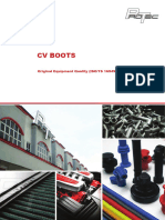 CV Boots 032015