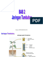 Bab 2 Jar Tumbuhan