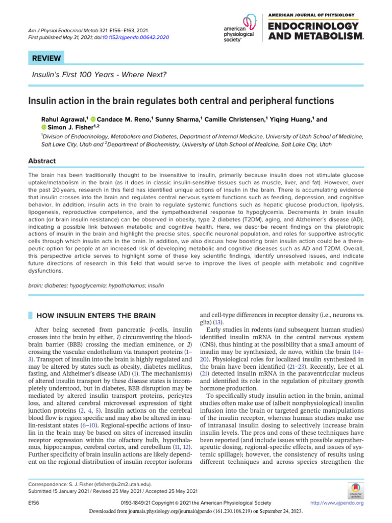 Agrawal Et Al 2021 Insulin Action in The Brain Regulates Both Central ...