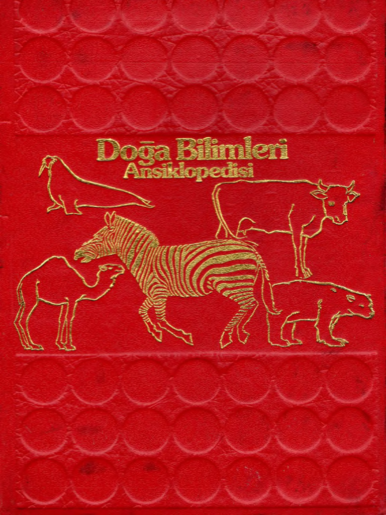 Do a Bilimleri Ansiklopedisi C1 2 1 PDF