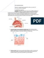 Anatomía Tema 2 - El Aparato Respiratorio