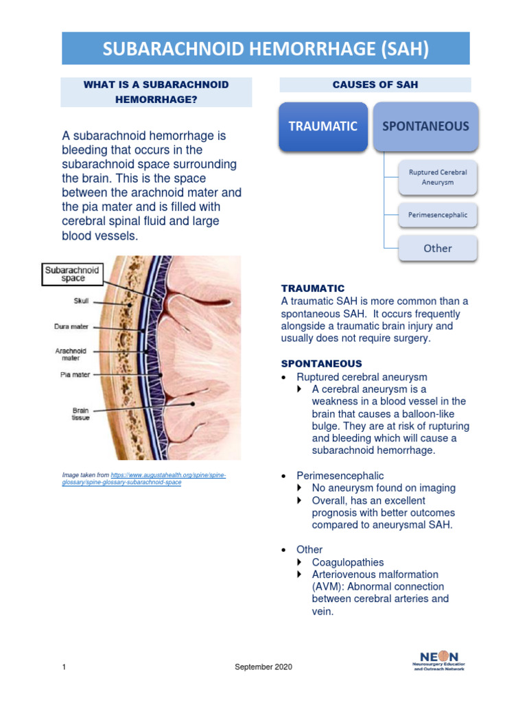 SubarachnoidHemorrhage Final PDF Clinical Medicine Medical
