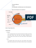 Destia Ika Fitriana - 194221042 - Tugas Materi Indra Penglihatan Dan Inda Pendengaran