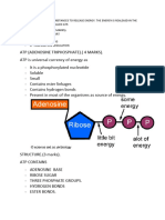 RESPIRATION2