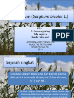 Sorgumsorghumbicolorl 141130231445 Conversion Gate01